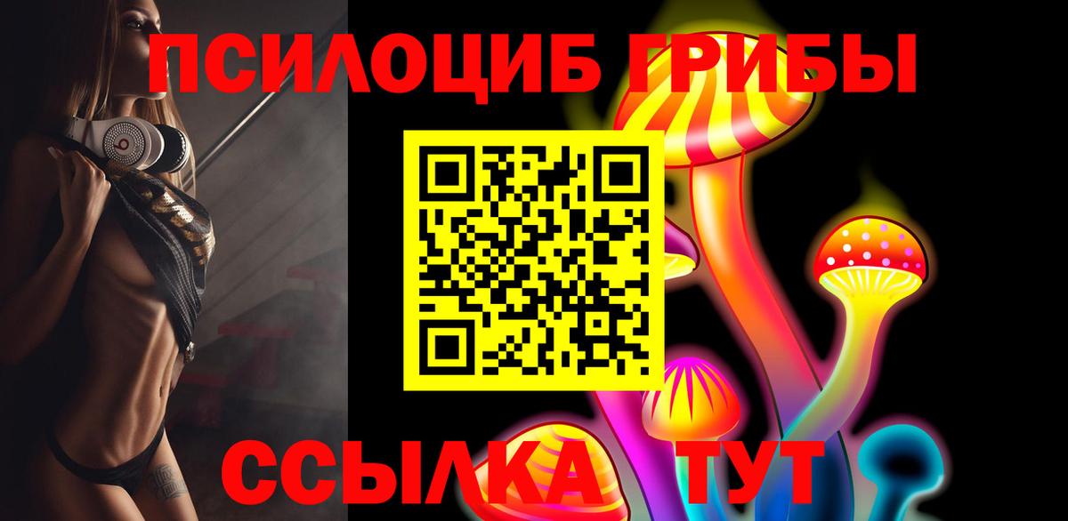 Галлюциногенные грибы мицелий  Вход с VPN  Тверь 